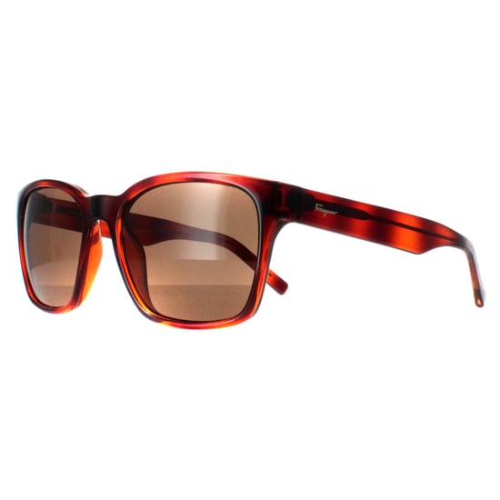Salvatore Ferragamo Square Womens Tortoise Brown SF959S