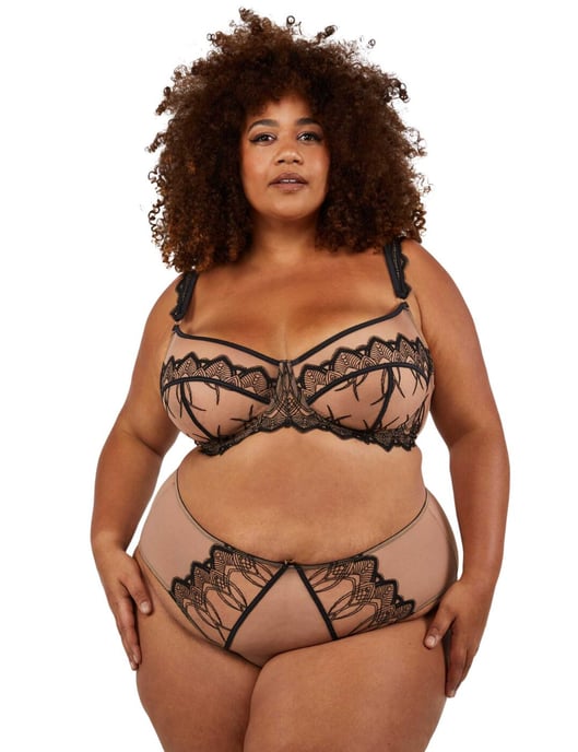 Playful Promises Clara Bra and Harness