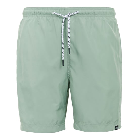 Regatta Mens Mackleyna Swim Shorts (Glacier) - Image 1