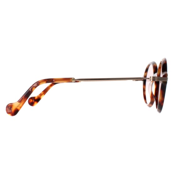 Moncler ML0081 55Y havana rosa gafas de sol - Image 4