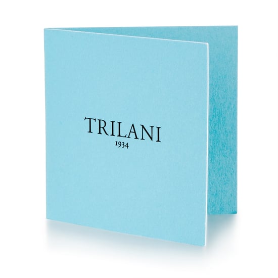 Trilani Female Sterling Silver Earring - Image 5