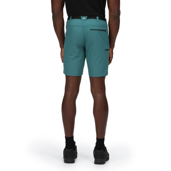 Regatta Mens Xert III Stretch Shorts (Pacific Green) - Image 5