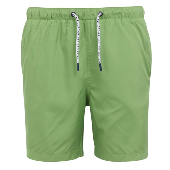 Regatta Mens Mackleyna Swim Shorts (Piquant Green)
