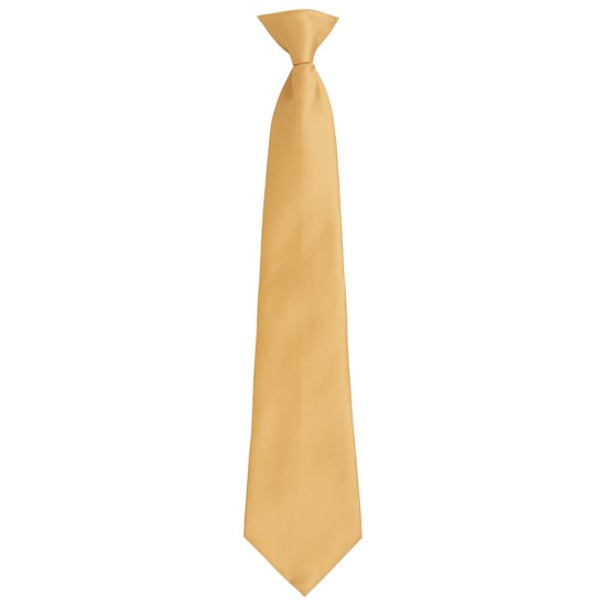 Premier Unisex Adult Colours Fashion Plain Clip-On Tie (Gold) - Image 1