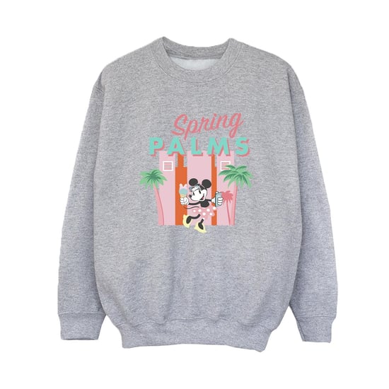 Disney Boys Minnie Mouse Spring Palms Sweatshirt (Sports Grey)