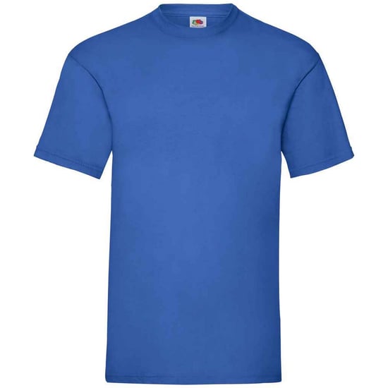 Fruit Of The Loom Mens Valueweight T-Shirt (Royal Blue) - Image 1