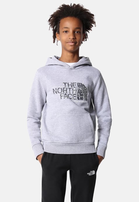 Sudadera con capucha The North Face Kids Drew Peak Overhead en gris - Image 1
