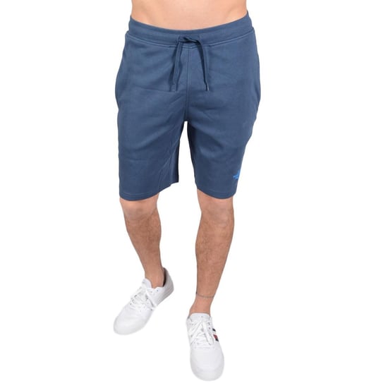 The North Face Hombre Pantalones Cortos Gráficos Azul - Image 1
