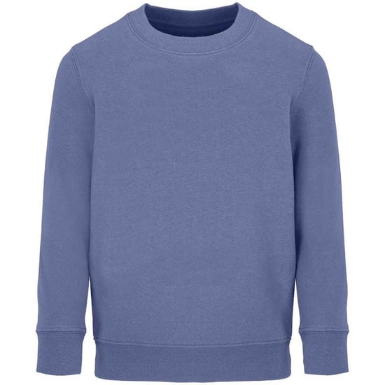 SOLS Childrens/Kids Columbia Sweatshirt (Blue)