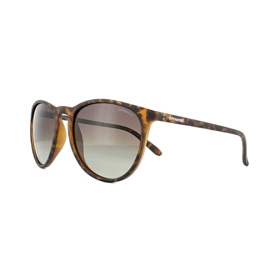 Polaroid Sunglasses PLD 6003/N/S V08 LA Havana Brown Gradient Polarized