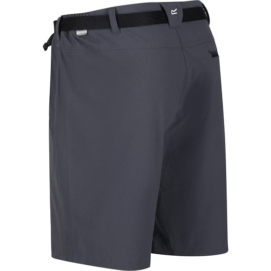 Regatta Mens Xert III Stretch Shorts - Image 4