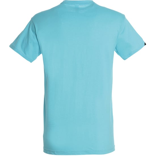 SOLS Mens Regent Short Sleeve T-Shirt (Aqua) - Image 2