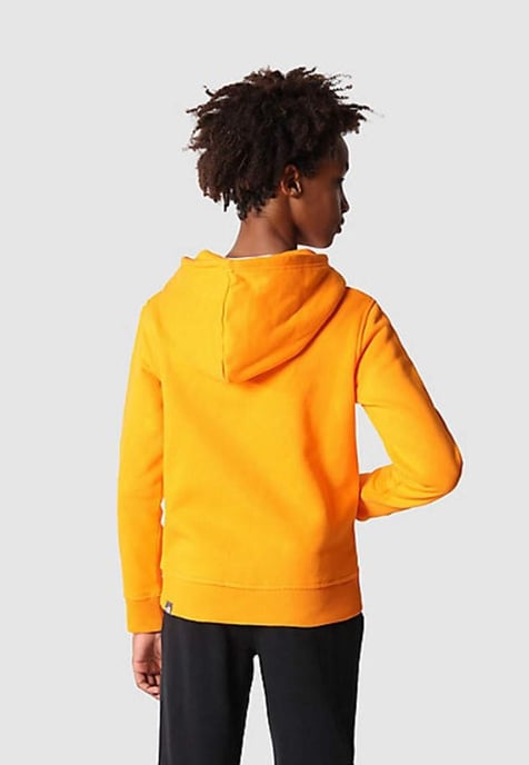 Sudadera con capucha The North Face Kids Drew Peak Overhead en naranja - Image 3