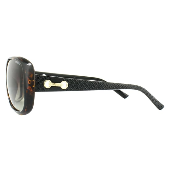Polaroid Butterfly Womens Havana Black Brown Gradient Polarized Sunglasses