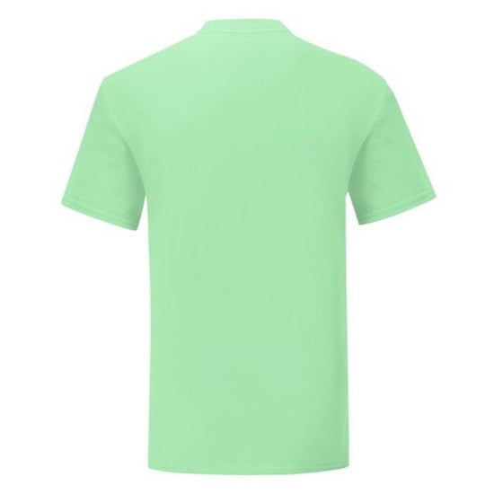 Fruit Of The Loom Mens Iconic 150 T-Shirt (Mint Green) - Image 2