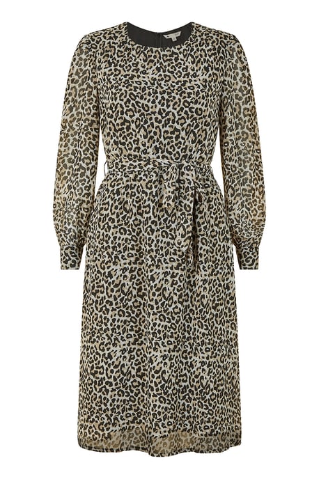 Black Leopard Long Sleeve Skater Dress