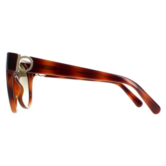 Salvatore Ferragamo Cat Eye Señoras Tortuga Verde SF1031s - Image 3
