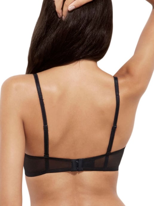 Glossies Lace Sheer Bra
