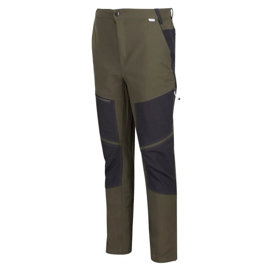 Regatta Mens Questra IV Hiking Trousers (Black)