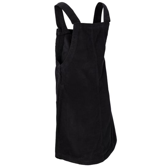 Trespass Womens/Ladies Twirl Casual Dress (Black)
