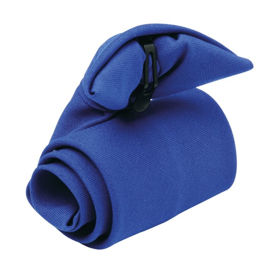 Premier Unisex Adult Clip-On Tie (Royal Blue)