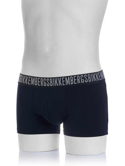 Ropa interior Bikkemberg - Image 3