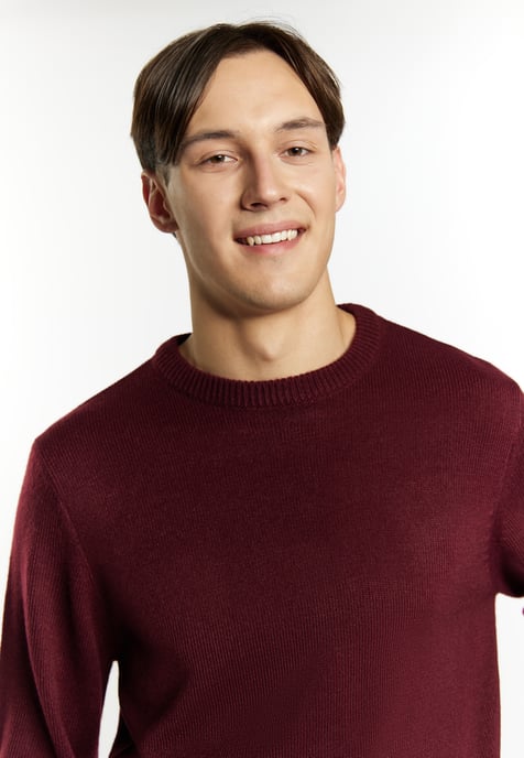 Mo Pullover Men bordeaux - Image 5