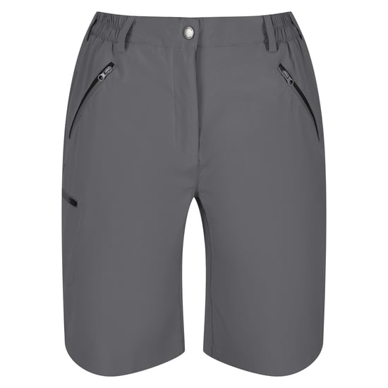 Regatta Womens/Ladies Xert Stretch Shorts (Seal Grey) - Image 1