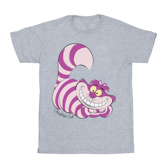 Disney Boys Alice In Wonderland Cheshire Cat T-Shirt (Sports Grey)