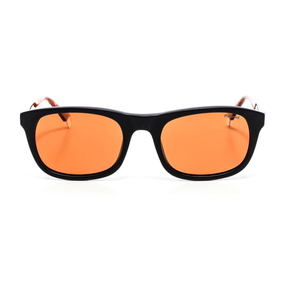 PLD2104SX men's polarized sunglasses