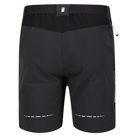 Regatta Mens Mountain II Shorts (Ash/Black) - Image 2