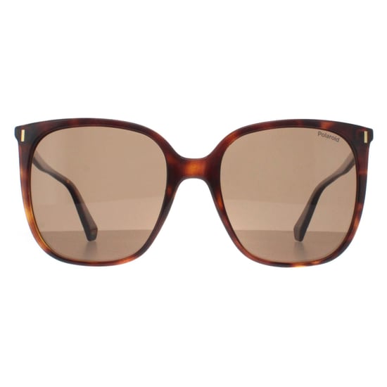 Polaroid Square Womens Havana Bronze Polarized PLD 6218/S