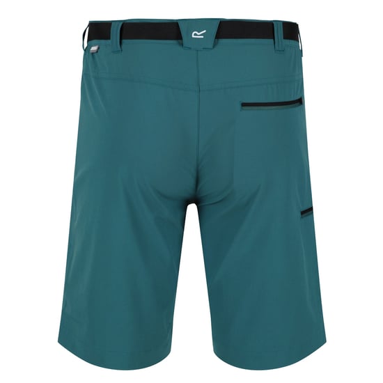 Regatta Mens Xert III Stretch Shorts (Pacific Green) - Image 2