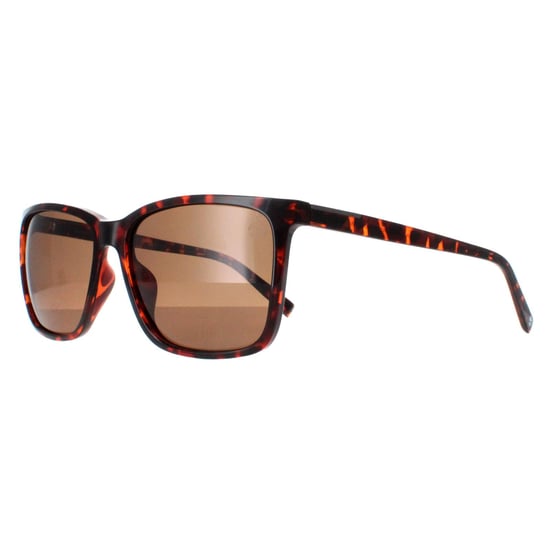 Timberland Square Mens Dark Havana Brown Polarized TB9280-H