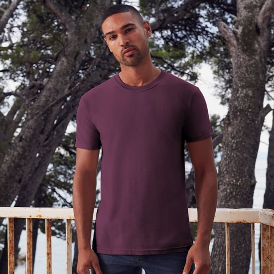 Fruit Of The Loom Mens Iconic 195 Ringspun Premium Tshirt (Burgundy) - Image 2