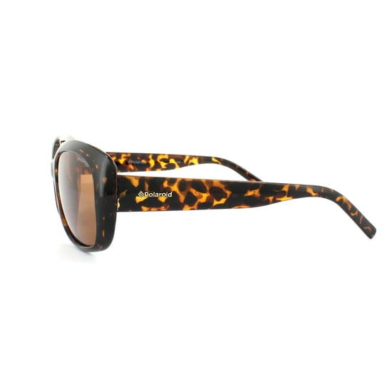 Polaroid Sunglasses 4013/S V08 HE Havana Copper Polarized