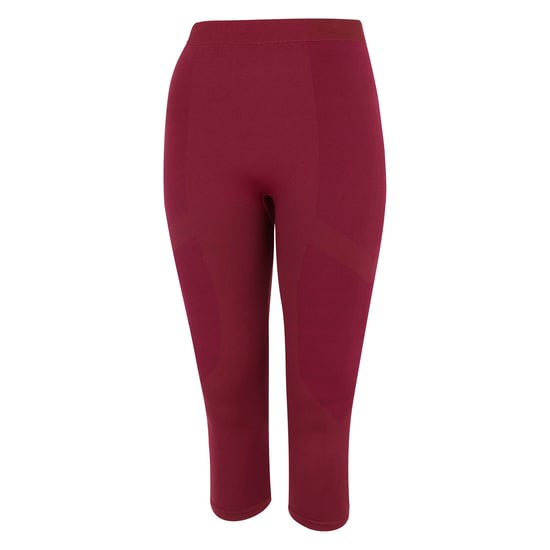 Dare 2B Womens/Ladies In The Zone II Panel 3/4 Leggings (Fig)