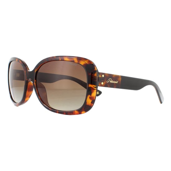Gafas de sol Polaroid PLD 4069/G/S/X 086 LA Havana Marrón Degradado Polarizado - Image 2
