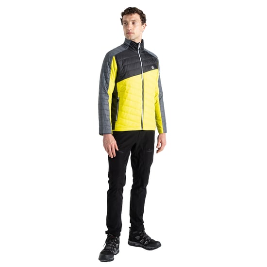 Dare 2B Mens Descending Padded Jacket (Neon Spring/Black)