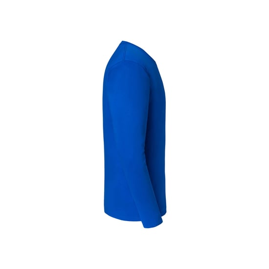 Fruit of the Loom Mens Iconic Premium Long-Sleeved T-Shirt (Royal Blue) - Image 3
