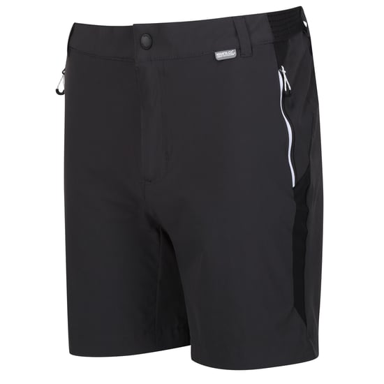 Regatta Mens Mountain II Shorts (Ash/Black) - Image 3