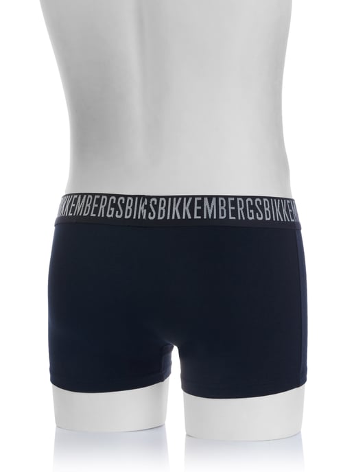 Ropa interior Bikkemberg - Image 4