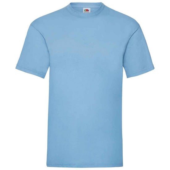 Fruit Of The Loom Mens Valueweight T-Shirt (Sky) - Image 1
