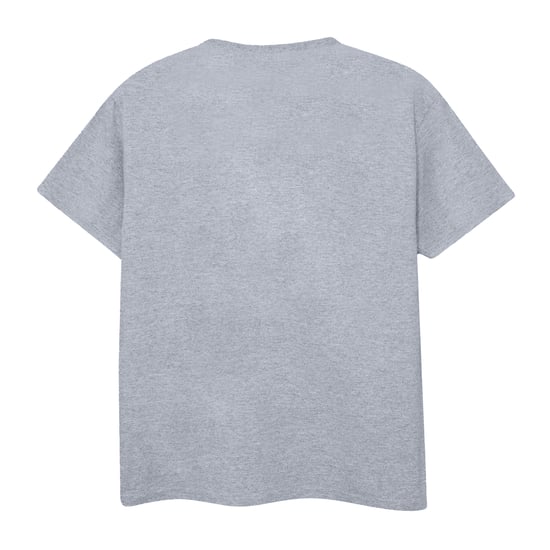 Disney Boys Alice In Wonderland Cheshire Cat T-Shirt (Sports Grey)