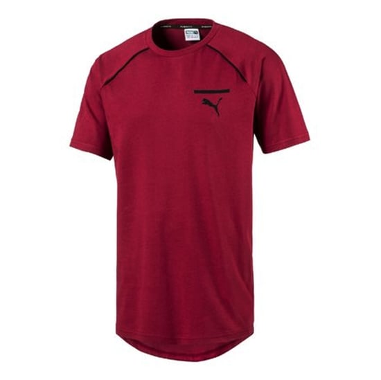 Puma Mens Evolution Core T-Shirt Casual Sports Top Burgundy 573337 09