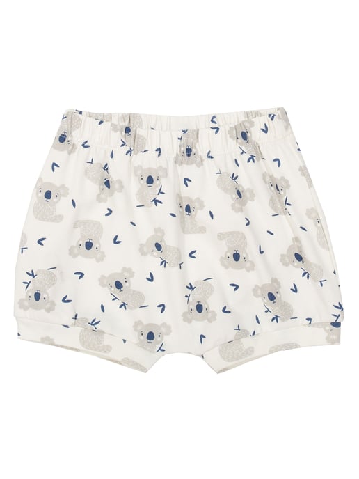 Kite Clothing Little Joey Shorts