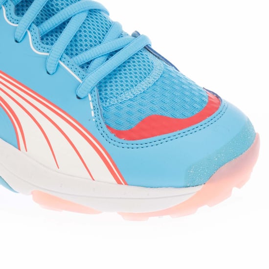 Men's Puma Spike 24.1 Cricket Shoes in Blue