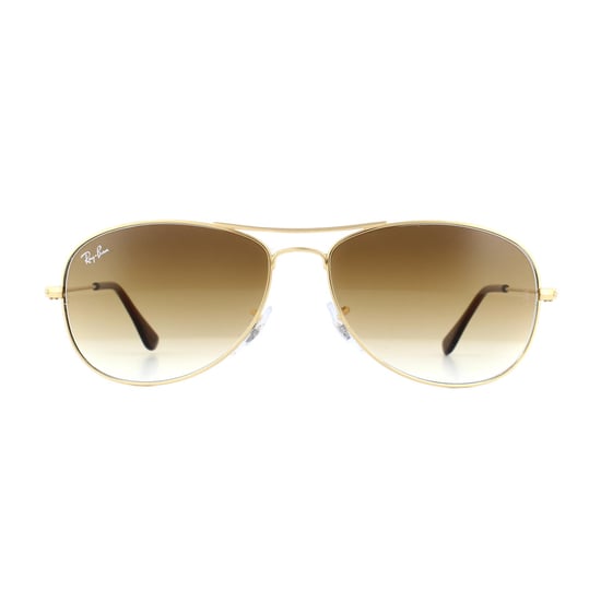 Ray-Ban Aviator Unisex Gold Brown Gradient Sunglasses