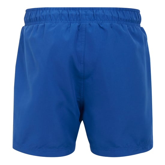 Regatta Mens Mawson II Swim Shorts (Olympian Blue/Navy) - Image 2
