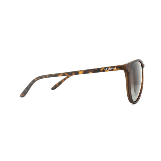 Polaroid Sunglasses PLD 6003/N/S V08 LA Havana Brown Gradient Polarized